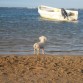 En la Playa Observando el mar